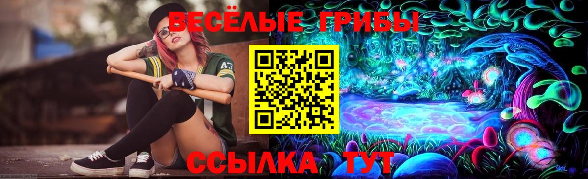 Псилоцибиновые грибы Cubensis Долгопрудный